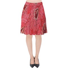 Red Peacock Floral Embroidered Long Qipao Traditional Chinese Cheongsam Mandarin Velvet High Waist Skirt