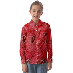Red Peacock Floral Embroidered Long Qipao Traditional Chinese Cheongsam Mandarin Kids  Long Sleeve Shirt