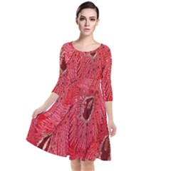 Red Peacock Floral Embroidered Long Qipao Traditional Chinese Cheongsam Mandarin Quarter Sleeve Waist Band Dress