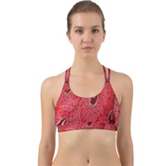Red Peacock Floral Embroidered Long Qipao Traditional Chinese Cheongsam Mandarin Back Web Sports Bra