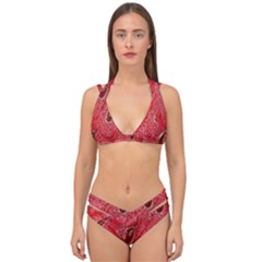 Red Peacock Floral Embroidered Long Qipao Traditional Chinese Cheongsam Mandarin Double Strap Halter Bikini Set