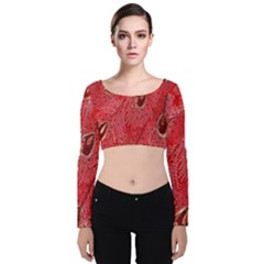 Red Peacock Floral Embroidered Long Qipao Traditional Chinese Cheongsam Mandarin Velvet Long Sleeve Crop Top