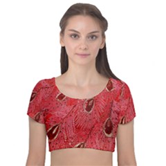 Red Peacock Floral Embroidered Long Qipao Traditional Chinese Cheongsam Mandarin Velvet Short Sleeve Crop Top 