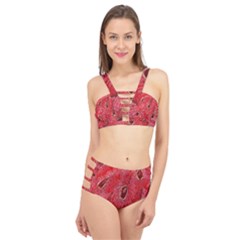 Red Peacock Floral Embroidered Long Qipao Traditional Chinese Cheongsam Mandarin Cage Up Bikini Set