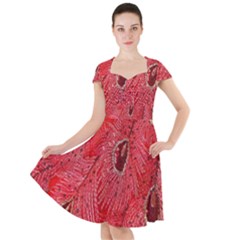 Red Peacock Floral Embroidered Long Qipao Traditional Chinese Cheongsam Mandarin Cap Sleeve Midi Dress