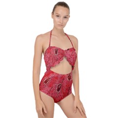 Red Peacock Floral Embroidered Long Qipao Traditional Chinese Cheongsam Mandarin Scallop Top Cut Out Swimsuit
