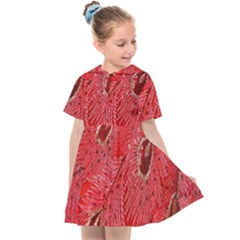 Red Peacock Floral Embroidered Long Qipao Traditional Chinese Cheongsam Mandarin Kids  Sailor Dress