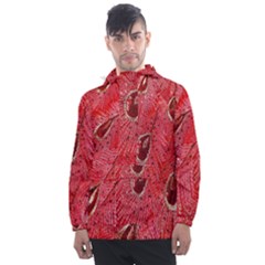 Red Peacock Floral Embroidered Long Qipao Traditional Chinese Cheongsam Mandarin Men s Front Pocket Pullover Windbreaker