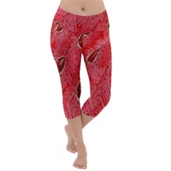 Red Peacock Floral Embroidered Long Qipao Traditional Chinese Cheongsam Mandarin Lightweight Velour Capri Yoga Leggings