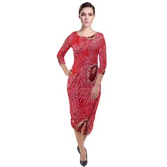 Red Peacock Floral Embroidered Long Qipao Traditional Chinese Cheongsam Mandarin Quarter Sleeve Midi Velour Bodycon Dress