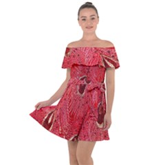 Red Peacock Floral Embroidered Long Qipao Traditional Chinese Cheongsam Mandarin Off Shoulder Velour Dress
