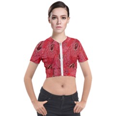 Red Peacock Floral Embroidered Long Qipao Traditional Chinese Cheongsam Mandarin Short Sleeve Cropped Jacket