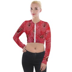 Red Peacock Floral Embroidered Long Qipao Traditional Chinese Cheongsam Mandarin Long Sleeve Cropped Velvet Jacket