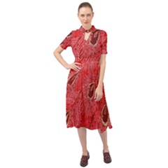 Red Peacock Floral Embroidered Long Qipao Traditional Chinese Cheongsam Mandarin Keyhole Neckline Chiffon Dress