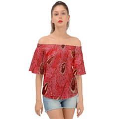 Red Peacock Floral Embroidered Long Qipao Traditional Chinese Cheongsam Mandarin Off Shoulder Short Sleeve Top