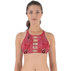 Red Peacock Floral Embroidered Long Qipao Traditional Chinese Cheongsam Mandarin Perfectly Cut Out Bikini Top