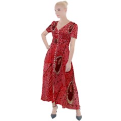 Red Peacock Floral Embroidered Long Qipao Traditional Chinese Cheongsam Mandarin Button Up Short Sleeve Maxi Dress