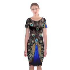 Peacock Classic Short Sleeve Midi Dress by Ket1n9