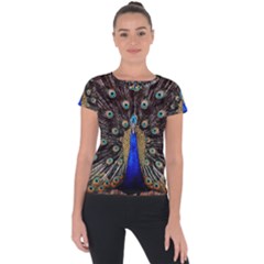 Peacock Short Sleeve Sports Top  by Ket1n9