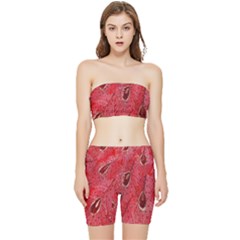 Red Peacock Floral Embroidered Long Qipao Traditional Chinese Cheongsam Mandarin Stretch Shorts and Tube Top Set
