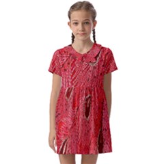 Red Peacock Floral Embroidered Long Qipao Traditional Chinese Cheongsam Mandarin Kids  Asymmetric Collar Dress