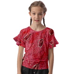 Red Peacock Floral Embroidered Long Qipao Traditional Chinese Cheongsam Mandarin Kids  Cut Out Flutter Sleeves