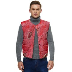 Red Peacock Floral Embroidered Long Qipao Traditional Chinese Cheongsam Mandarin Men s Button Up Puffer Vest	