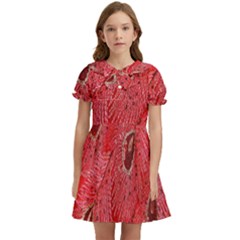 Red Peacock Floral Embroidered Long Qipao Traditional Chinese Cheongsam Mandarin Kids  Bow Tie Puff Sleeve Dress