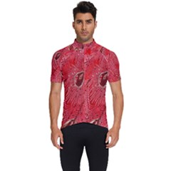 Red Peacock Floral Embroidered Long Qipao Traditional Chinese Cheongsam Mandarin Men s Short Sleeve Cycling Jersey
