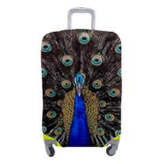 Peacock Luggage Cover (small) by Ket1n9