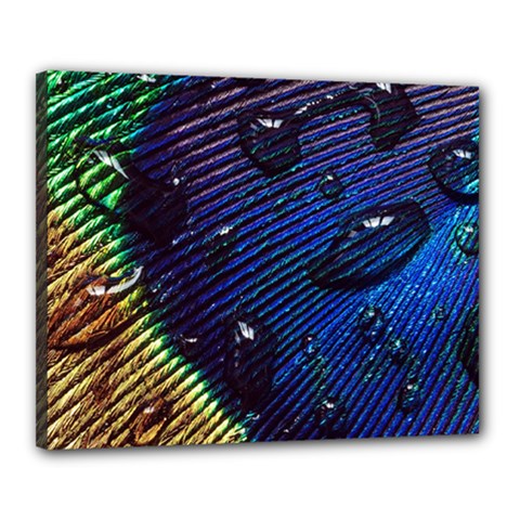 Peacock Feather Retina Mac Canvas 20  X 16  (stretched) by Ket1n9
