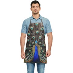 Peacock Kitchen Apron by Ket1n9