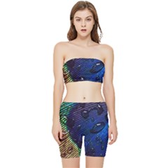 Peacock Feather Retina Mac Stretch Shorts And Tube Top Set by Ket1n9