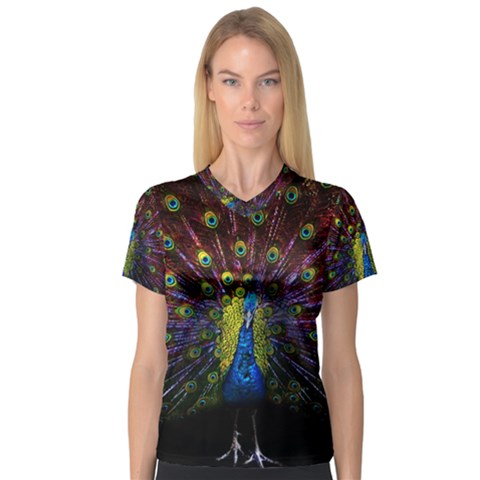 Beautiful Peacock Feather V-neck Sport Mesh T-shirt by Ket1n9