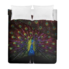 Beautiful Peacock Feather Duvet Cover Double Side (full/ Double Size) by Ket1n9