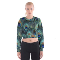 Feathers Art Peacock Sheets Patterns Cropped Sweatshirt by Ket1n9