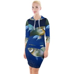 Marine Fishes Quarter Sleeve Hood Bodycon Dress