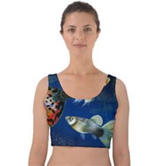 Marine Fishes Velvet Crop Top by Ket1n9