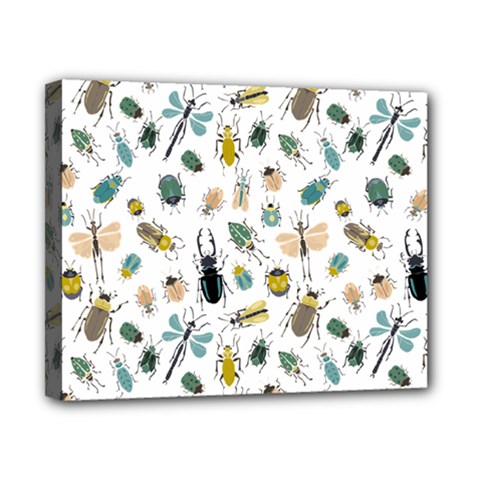 Insect Animal Pattern Canvas 10  X 8  (stretched)