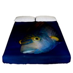 Fish Blue Animal Water Nature Fitted Sheet (queen Size) by Hannah976