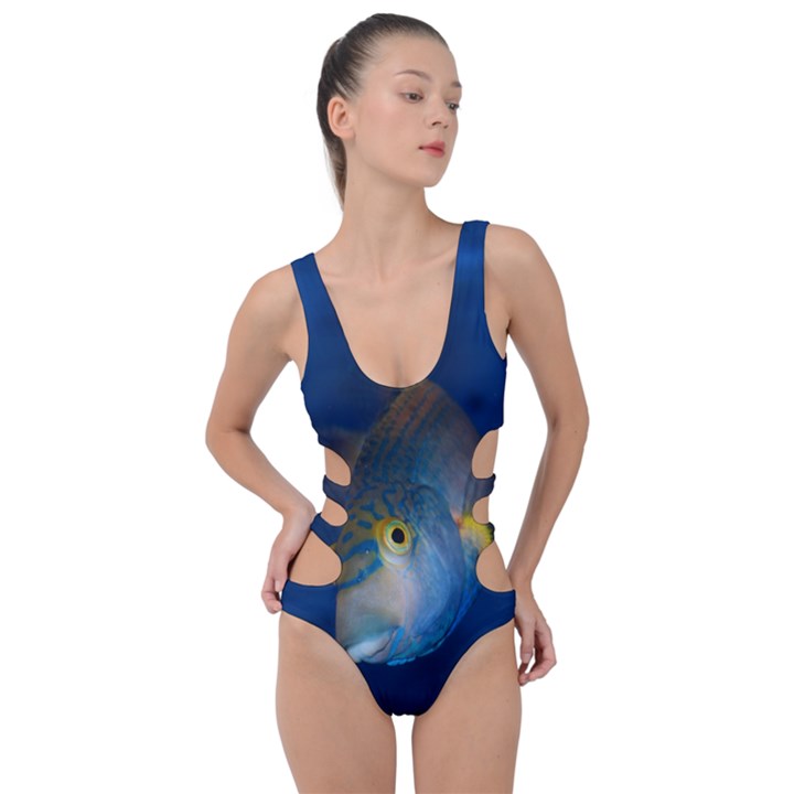 Fish Blue Animal Water Nature Side Cut Out Swimsuit