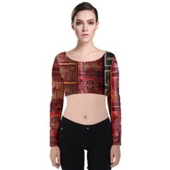 Books Old Velvet Long Sleeve Crop Top