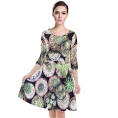 Cactus Nature Plant Desert Quarter Sleeve Waist Band Dress