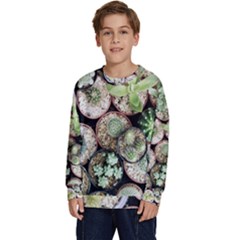 Cactus Nature Plant Desert Kids  Crewneck Sweatshirt by Bedest