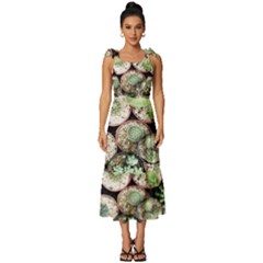 Cactus Nature Plant Desert Tie-Strap Tiered Midi Chiffon Dress