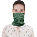 Green Organic Chemistry Pattern with Formulas Face Covering Bandana (Adult) View1