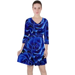 Blue Roses Flowers Plant Romance Blossom Bloom Nature Flora Petals Quarter Sleeve Ruffle Waist Dress