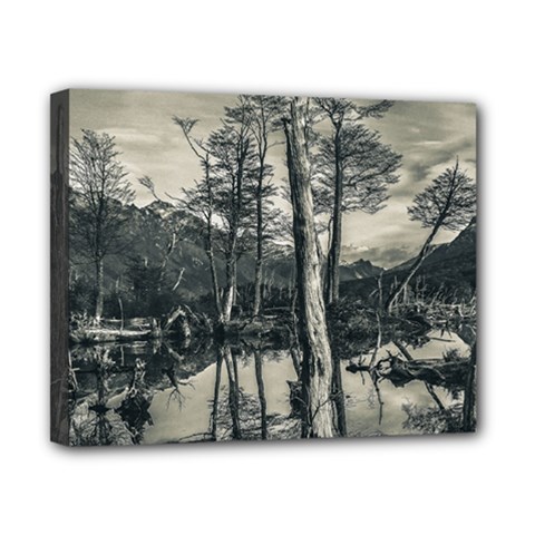 Dry Forest Landscape, Tierra Del Fuego, Argentina Canvas 10  X 8  (stretched) by dflcprintsclothing