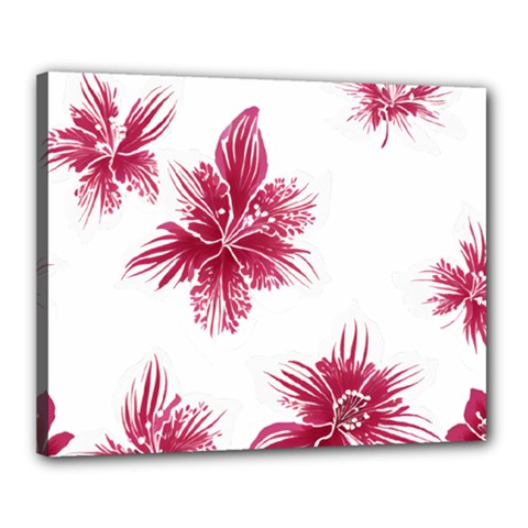 Hawaiian Flowers Canvas 20  X 16  (stretched)