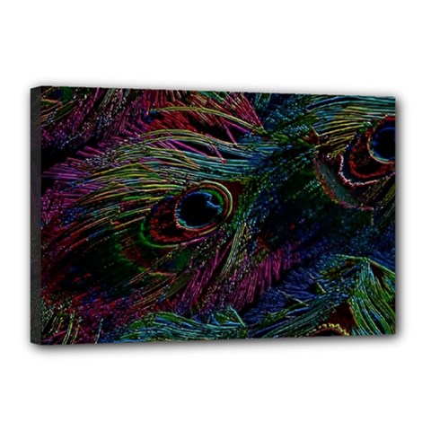 Peacock Feather Paradise Canvas 18  X 12  (stretched)